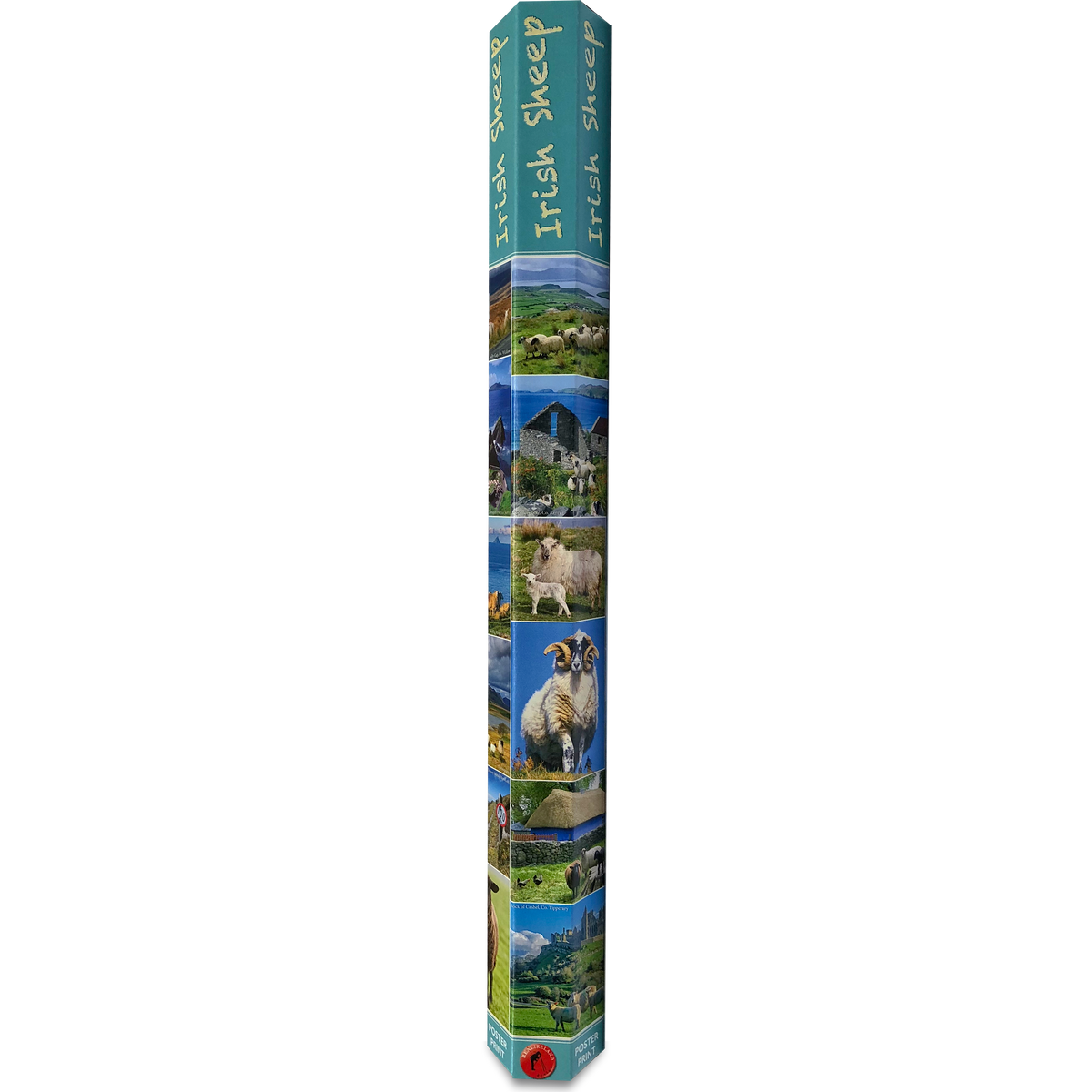 Irish Sheep Poster-Print – Irish Calendars