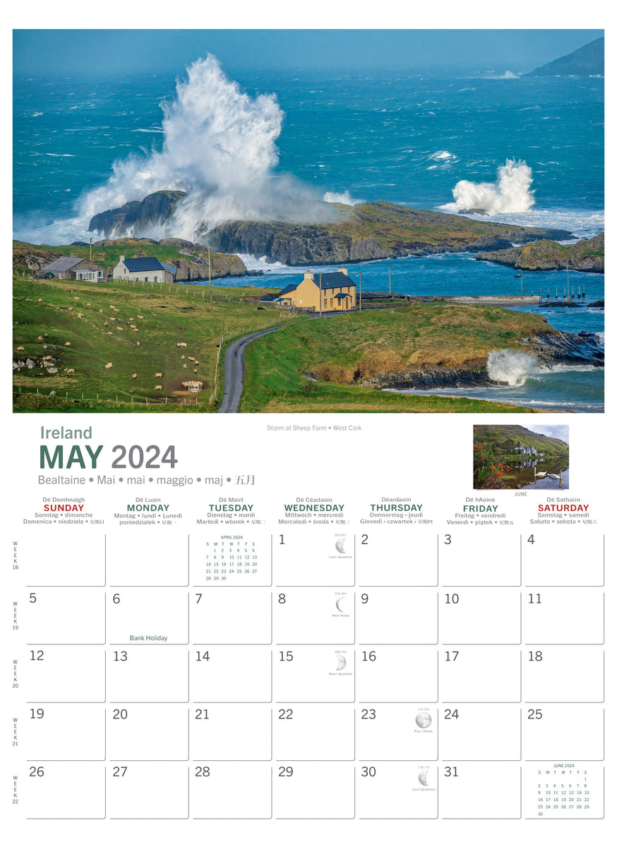 Wild Ireland Calendar 2024 Irish Calendars