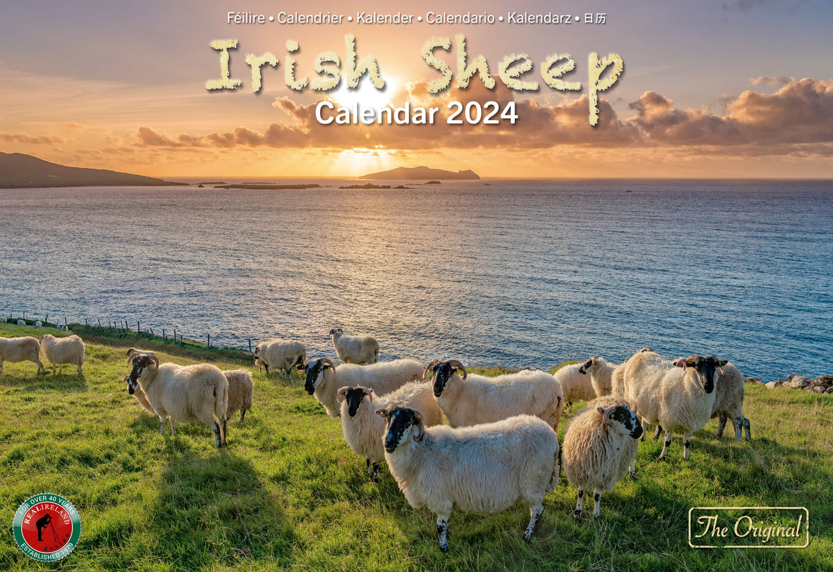 Irish Sheep Calendar 2025