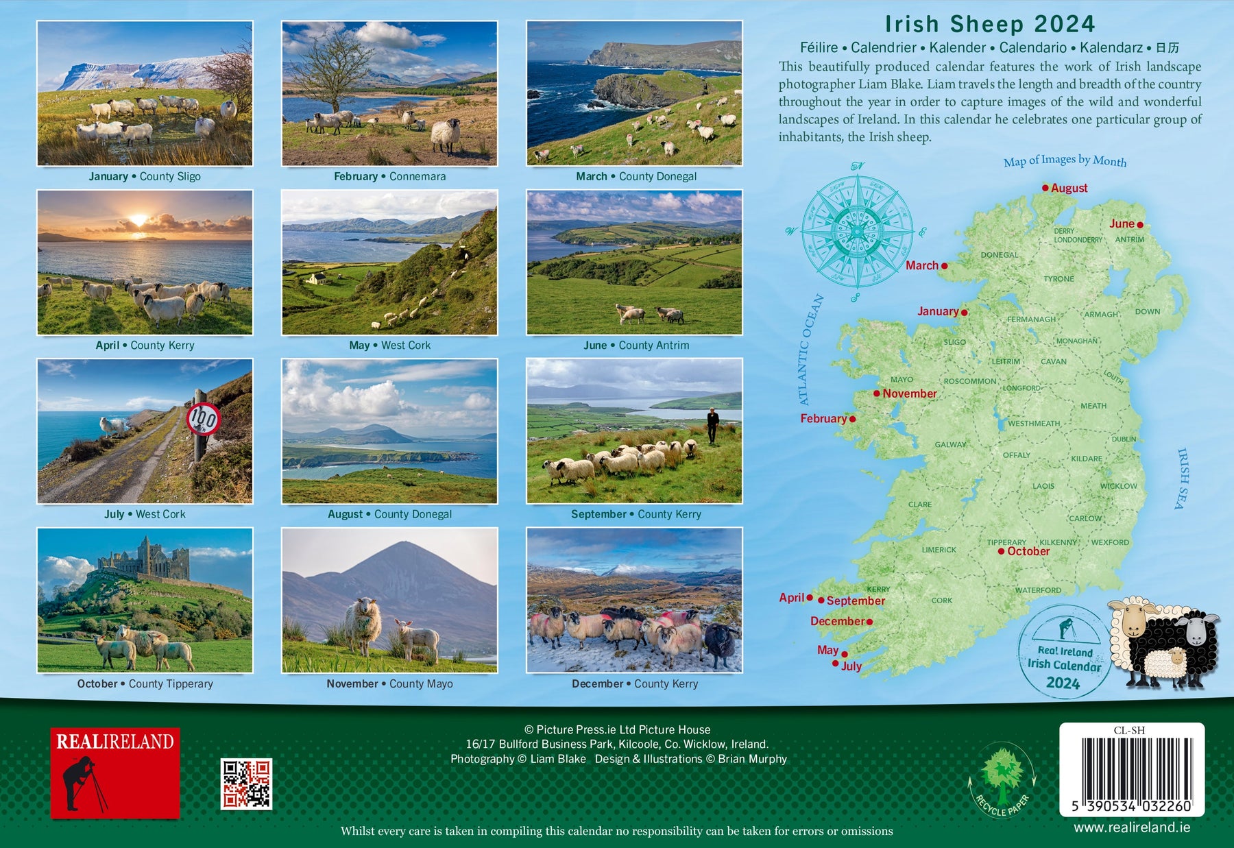 Irish Sheep Calendar 2025