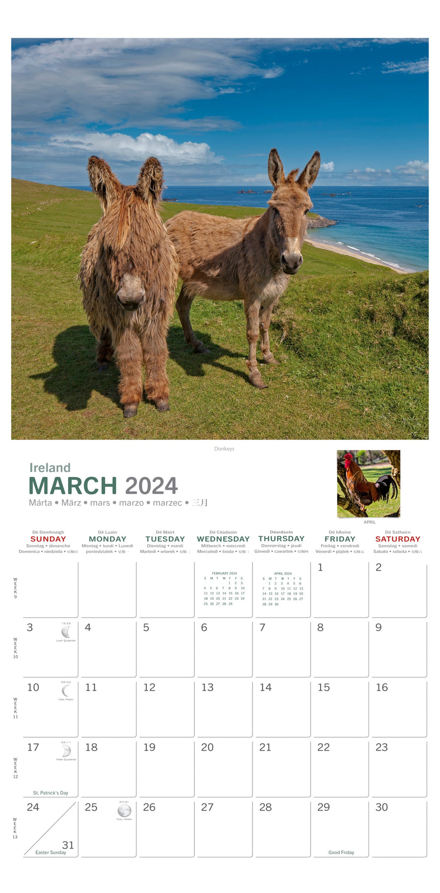 medium-format-calendars-irish-calendars