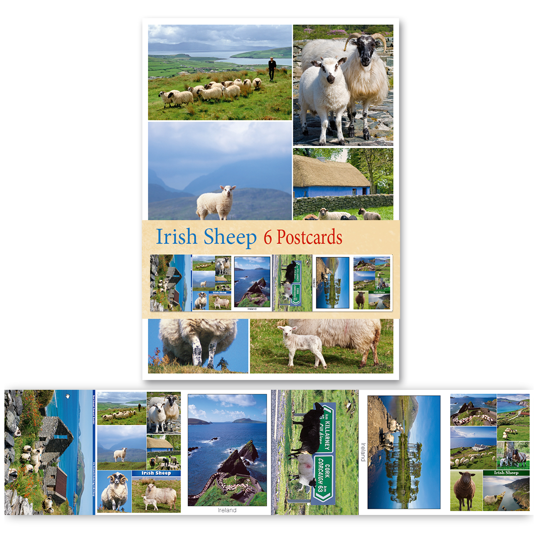 Irish Sheep Calendar 2025